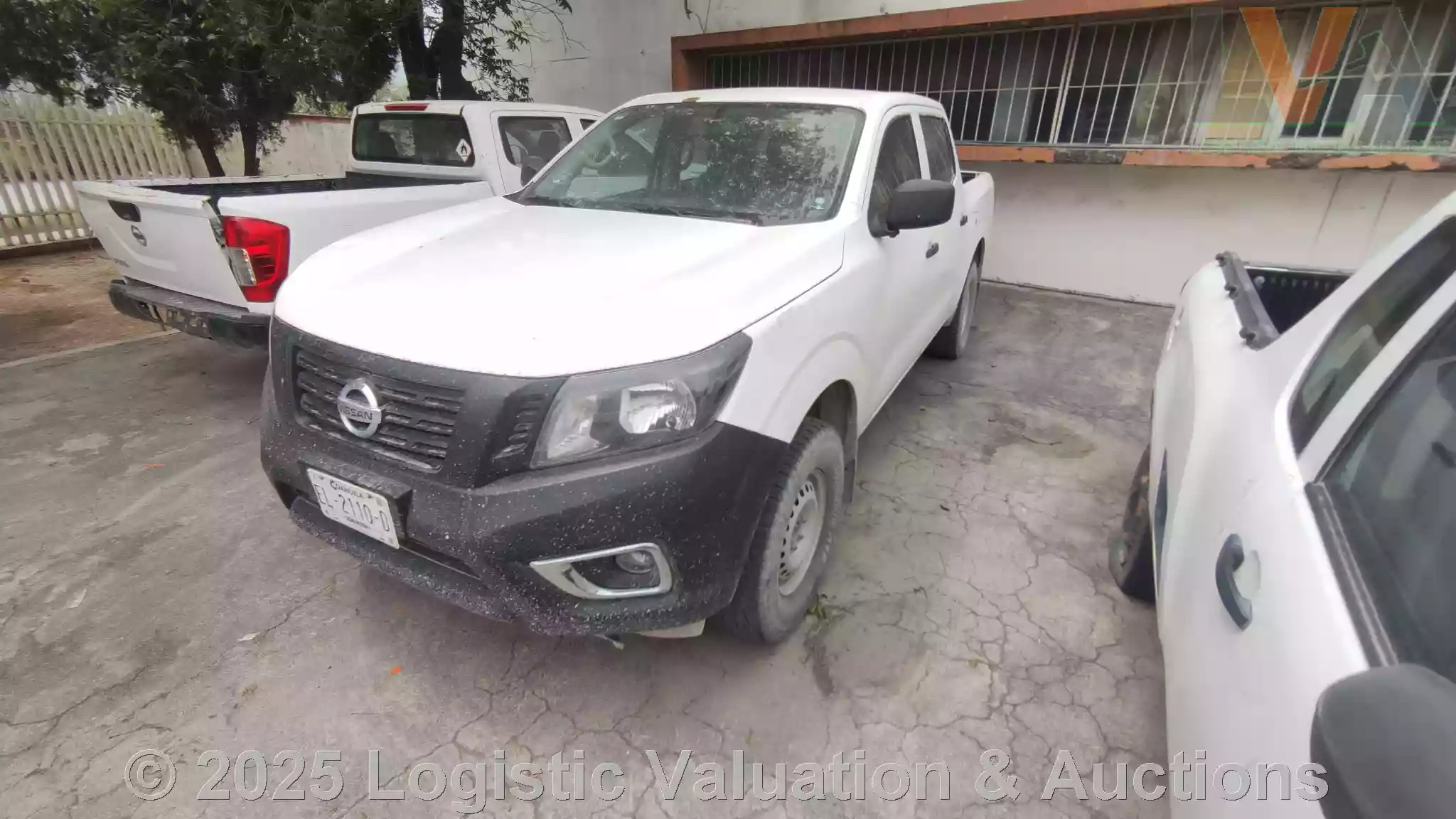 Lote: 20
